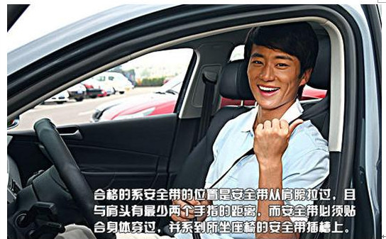 關(guān)愛生命  文明駕駛